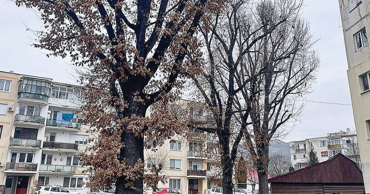 Folytatják a Kossuth Lajos negyed felújítását