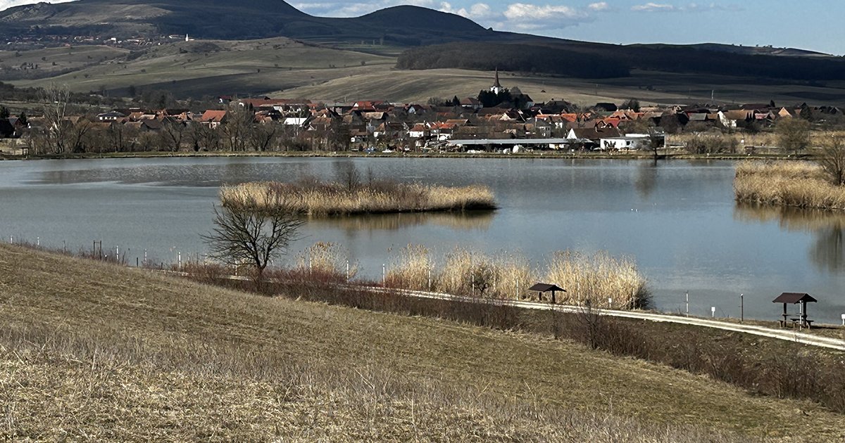 Évszázados madárpihenő, unikum a térségben