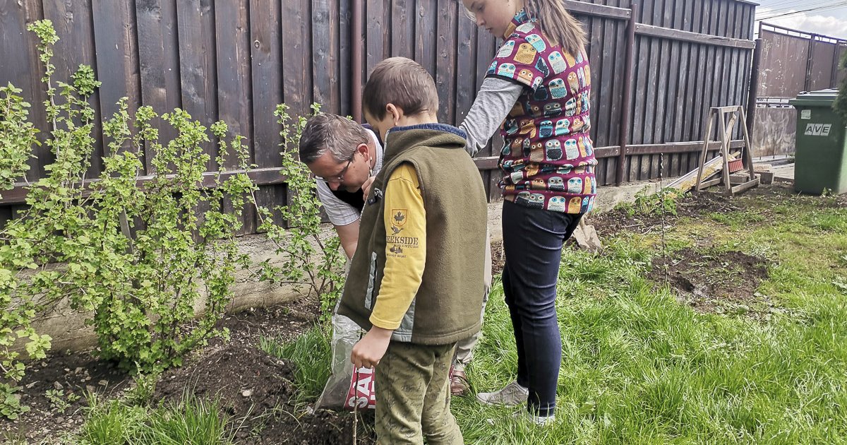 Jótékonysági faültetési program