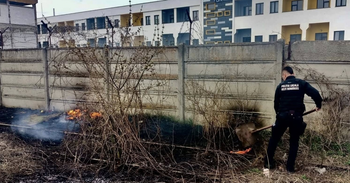 Halat akart sütni, de kigyulladt az aljnövényzet