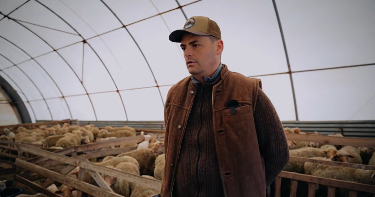 Betekintés a Kongo Farm báránytenyésztésébe