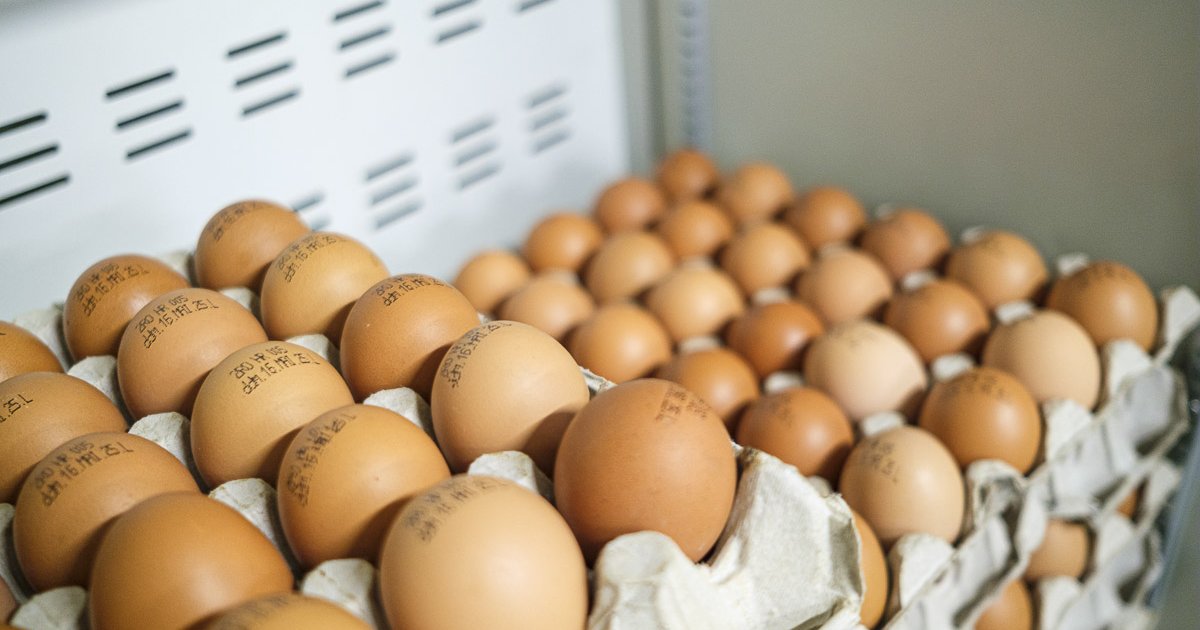 Öt év alatt duplájára emelkedett a tojás ára