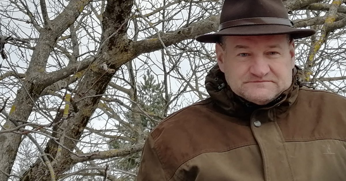 Merre csörög a dió?