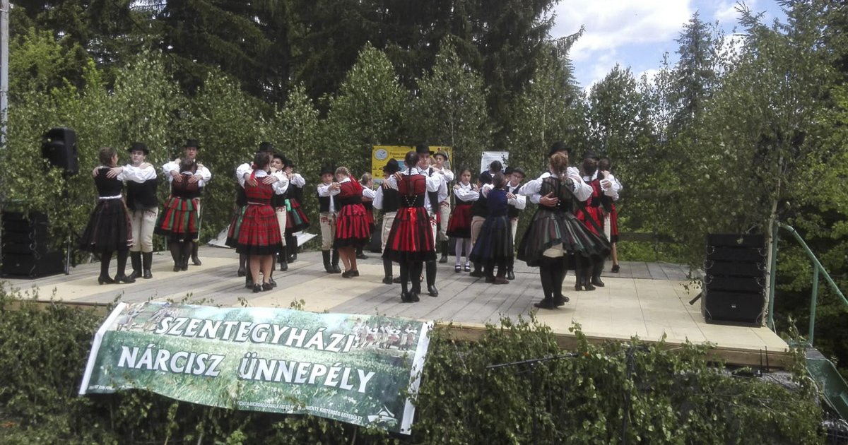 Ötven éve a nárciszok között