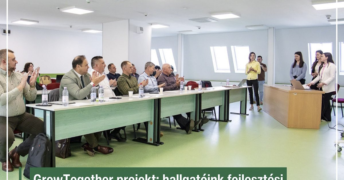 Fejlesztési  stratégiák