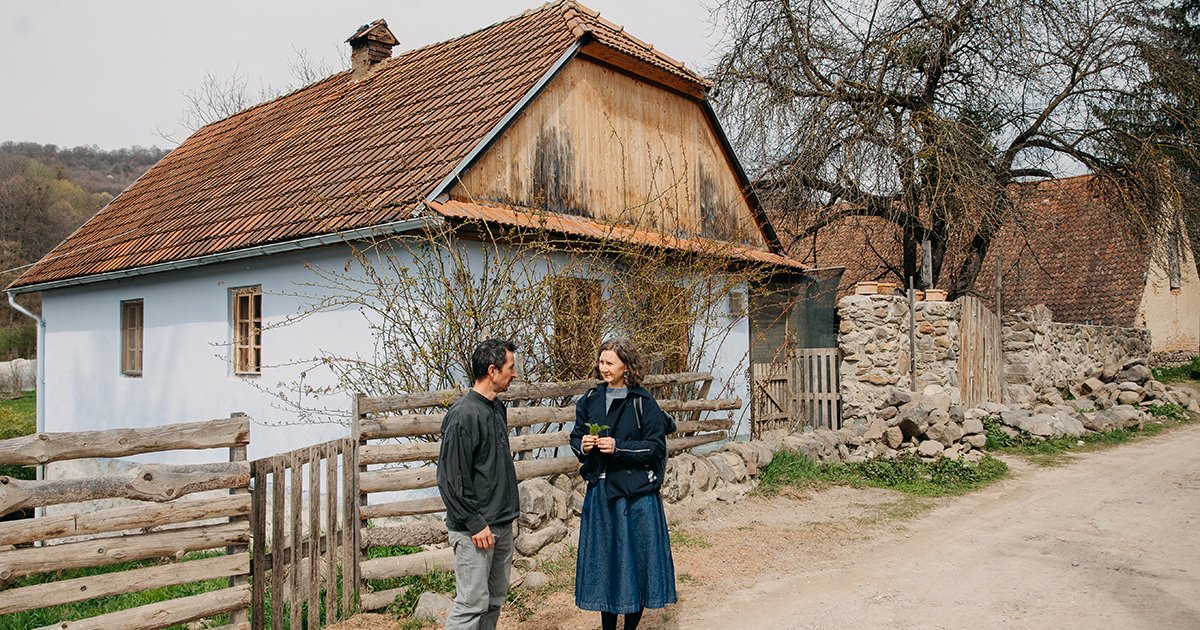 A zöld ezer színe
