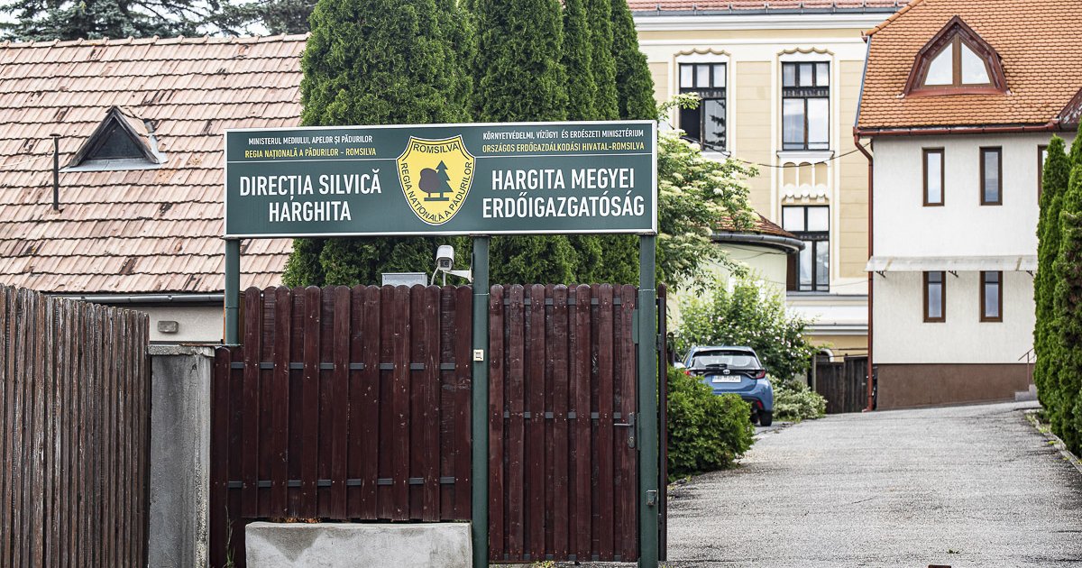Erdőmérnök: nem hoz valós reformot a Romsilva átszervezése