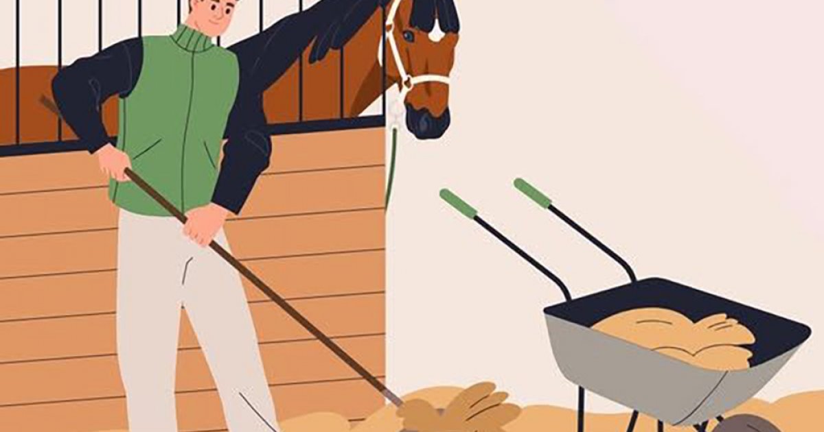 Lovászt keres a Nemzetközi Gyermekmentő Szolgálat fóti Lovasterápiás és Oktató Központja