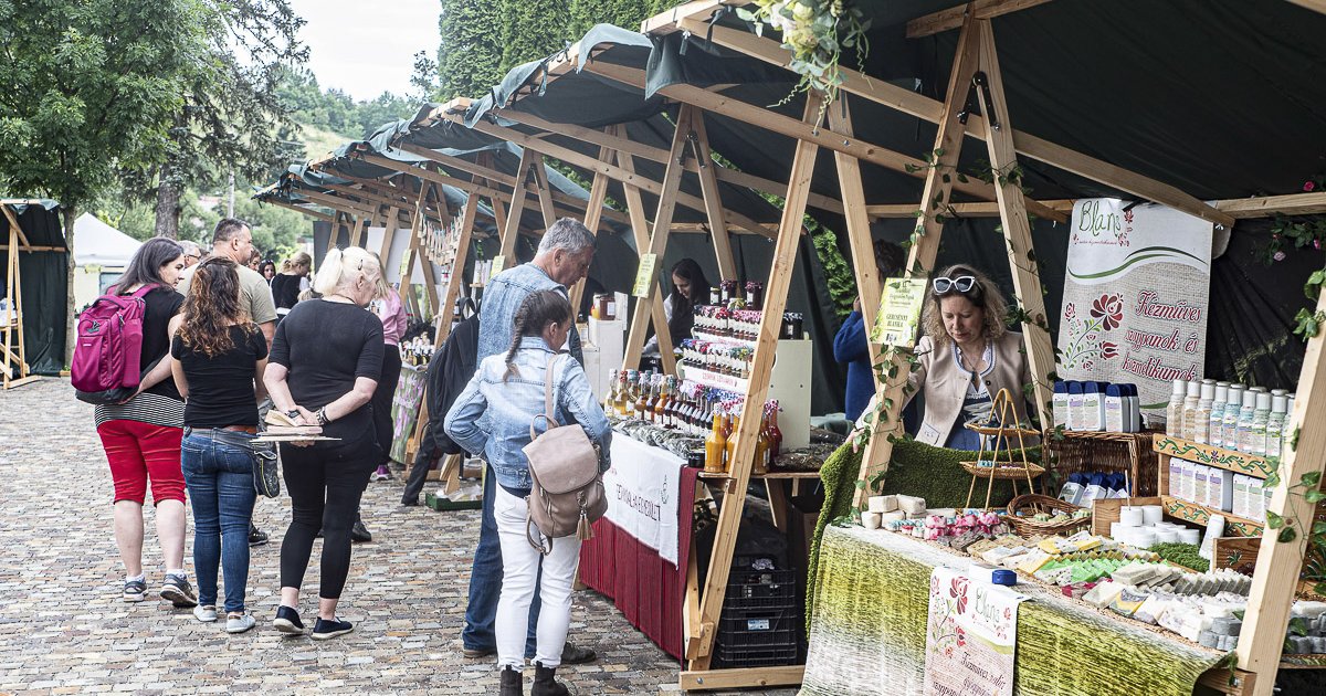 Önálló ágazat a gyógynövénytermesztés