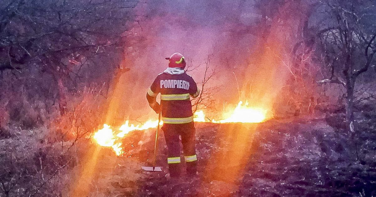 Fél hektáron égett a búzatábla