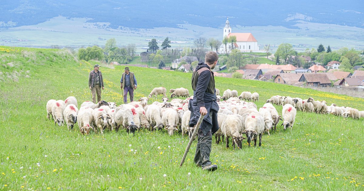 Tartalmas szakmai program gazdálkodóknak