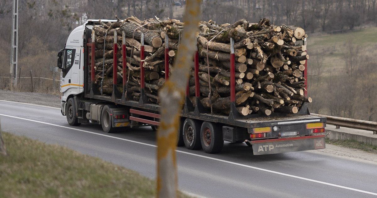 Elakadhat a TollRo bevezetése