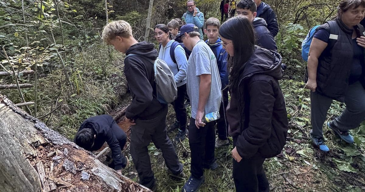Iskolai kaláka a borvízforrásnál