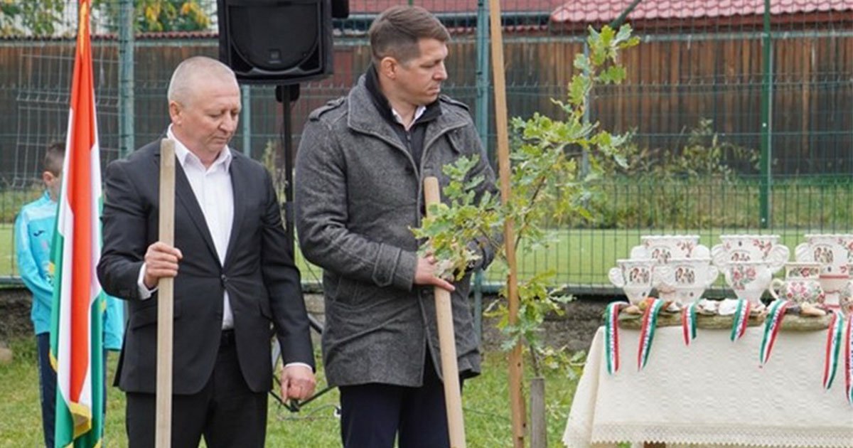 Hazatért a győzelmi tölgy