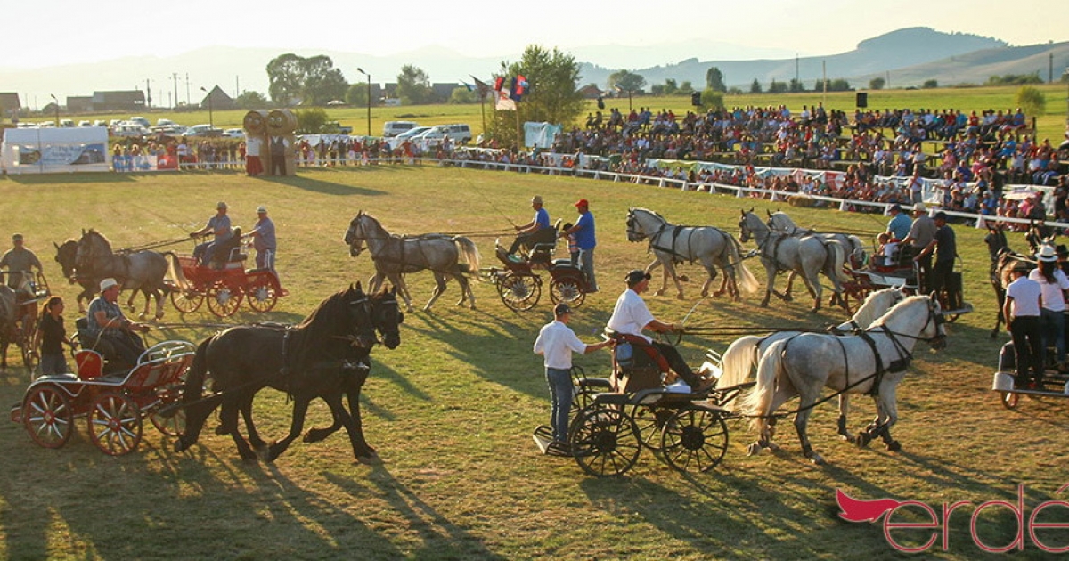 Folytatjuk a Hargita megyei lovasélet fellendítését!
