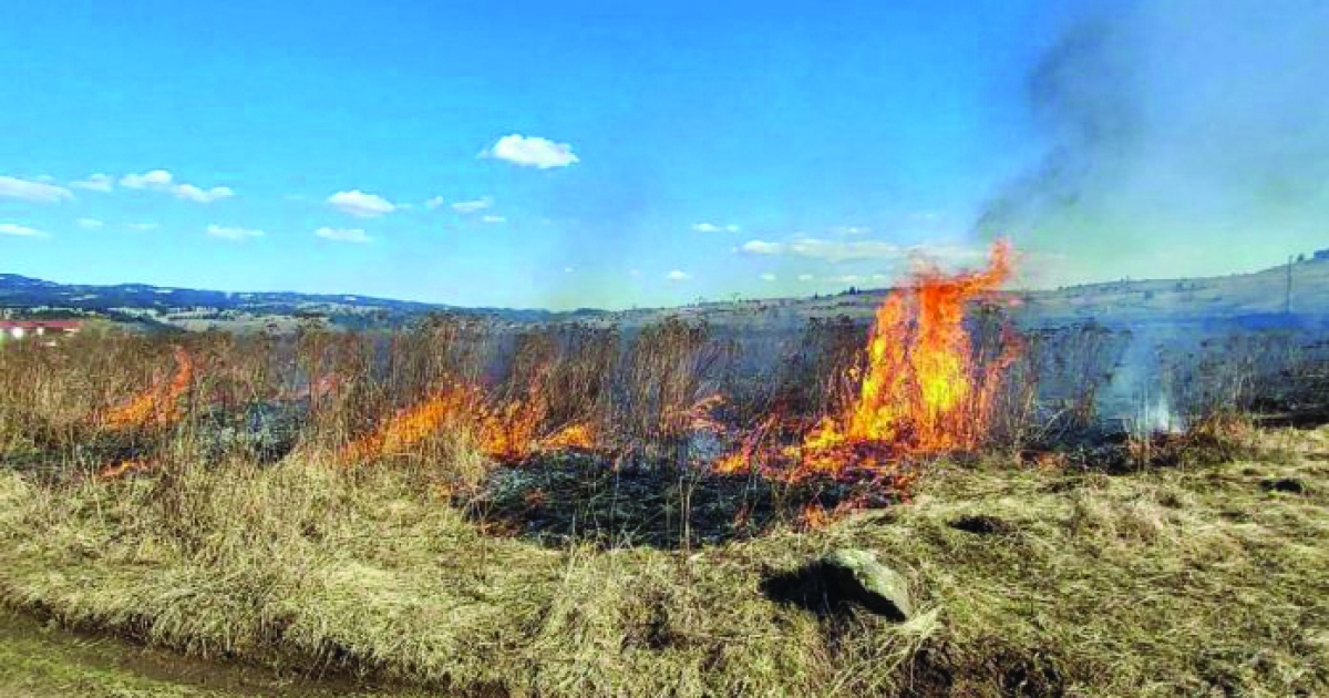 Kétszázötven Hargita megyei gazda veszítette el a mezőgazdasági támogatást avarégetés miatt