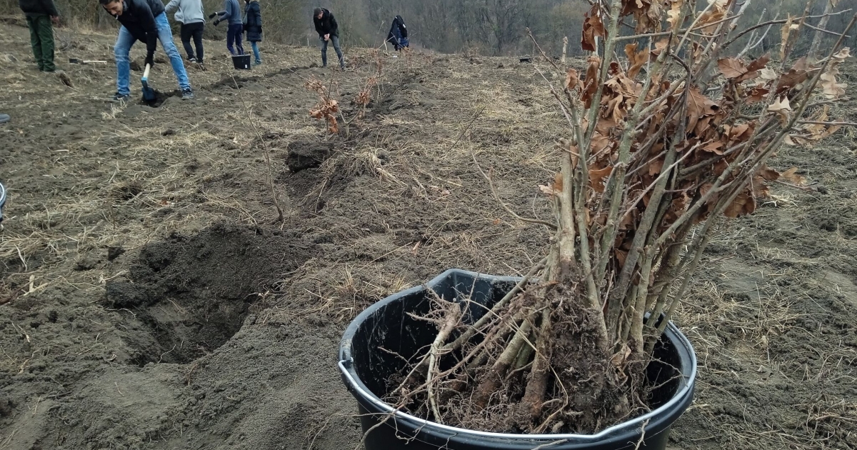 Diákok és önkéntesek is kiveszik részüket a munkából