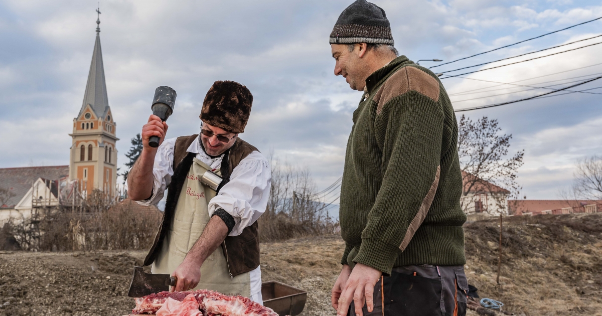 Disznóvágás Madéfalván a bukovinai székelyekkel