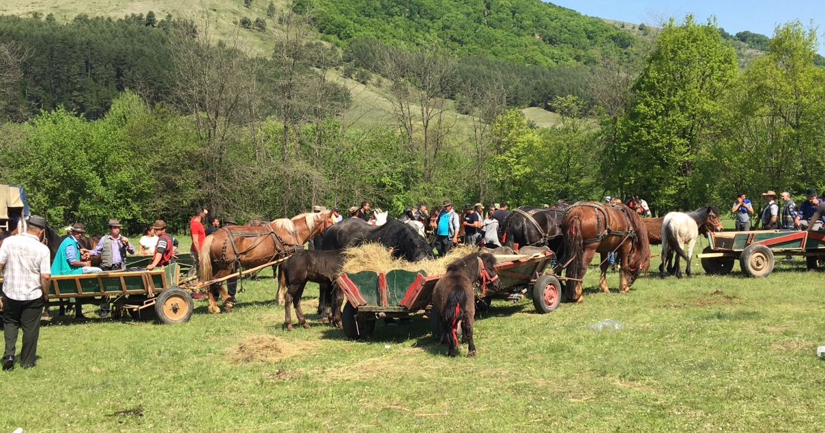 Hagyományos a vásár, de meddig?