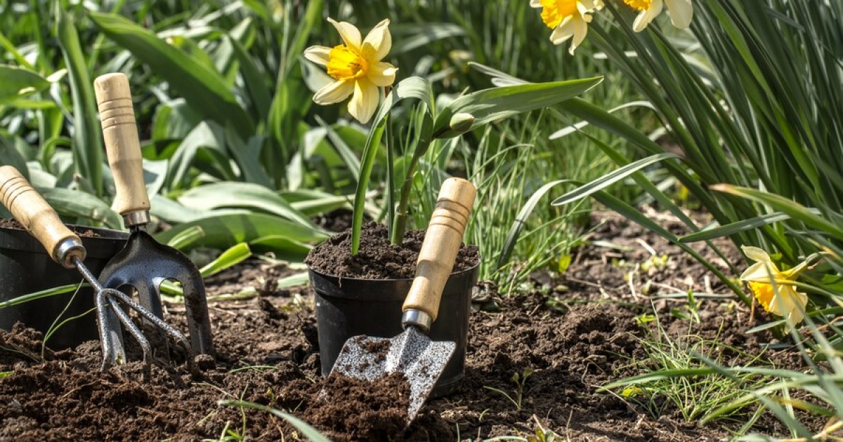 Kertésznapok,  ribizliborverseny és üzemátadás