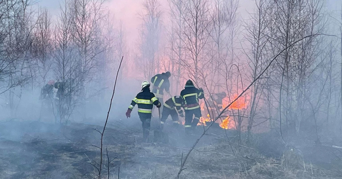 Közel száz hektáron pusztított a tűz