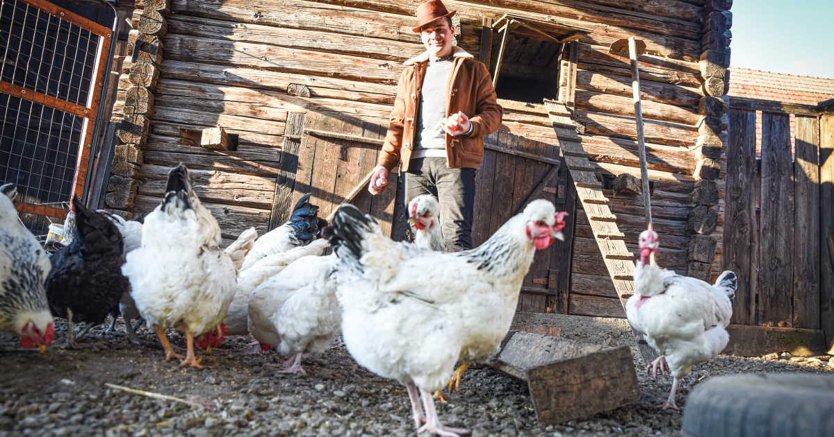 A kitartás és szeretet ötvözete