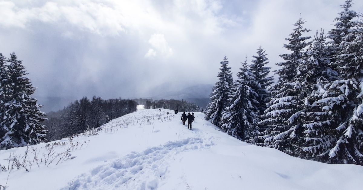 A havasi különlegesség