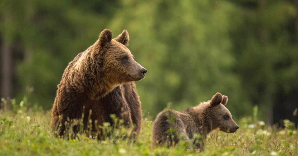 Megoldást sürgetnek