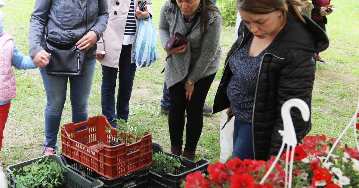 Palántanap másodszor