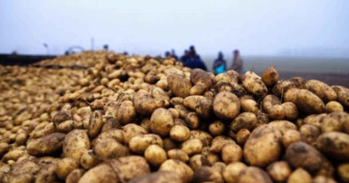 Éves összegzés: a földgáz, a burgonya és az étolaj drágult a legtöbbet