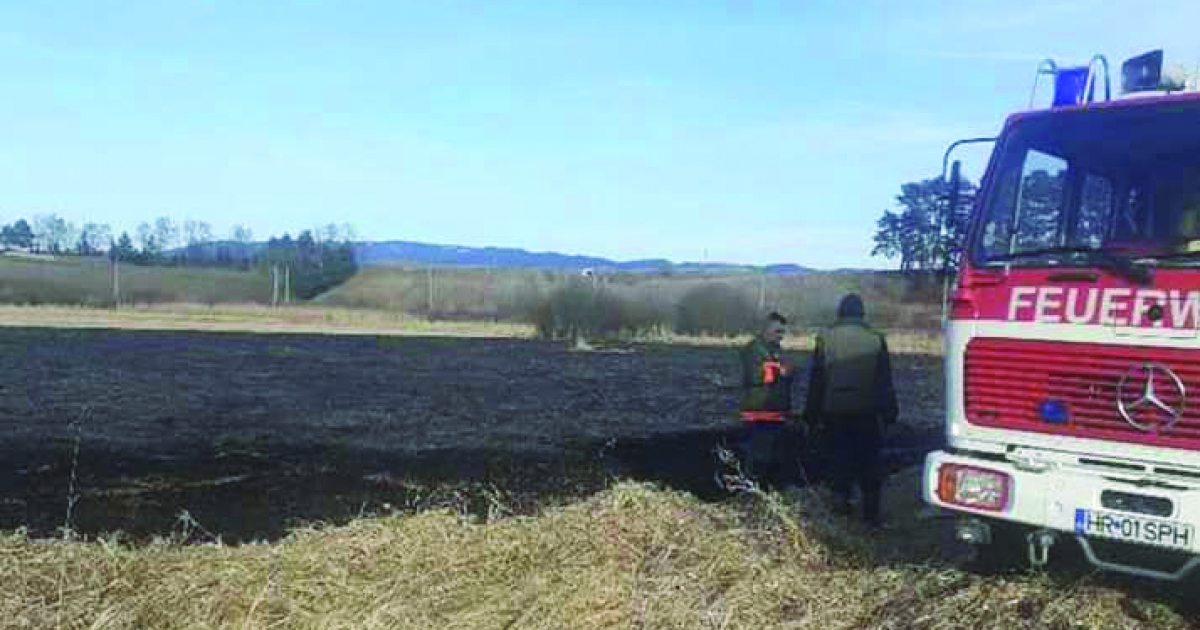 Háromezer lejre büntettek