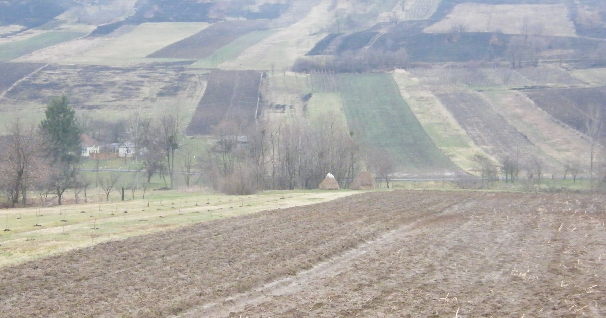 Kertészkedési lehetőség