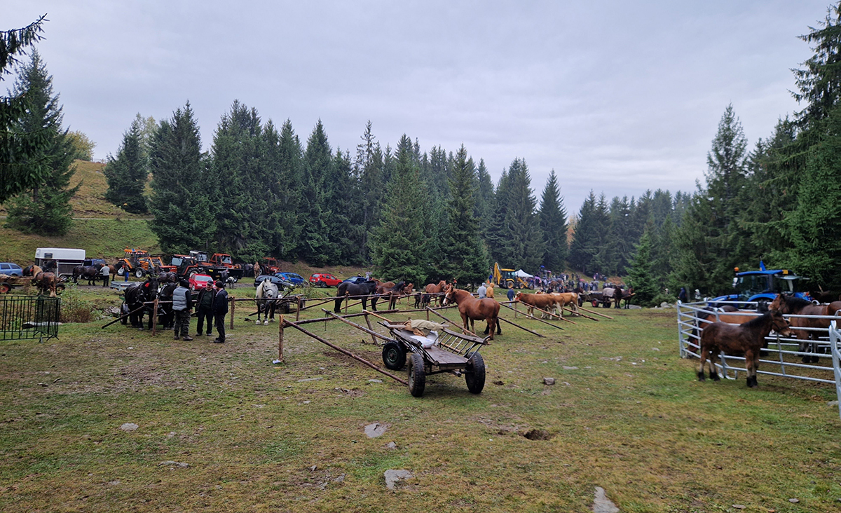 Gazdanap Homoródlokán Gazdanap Homoródlokán