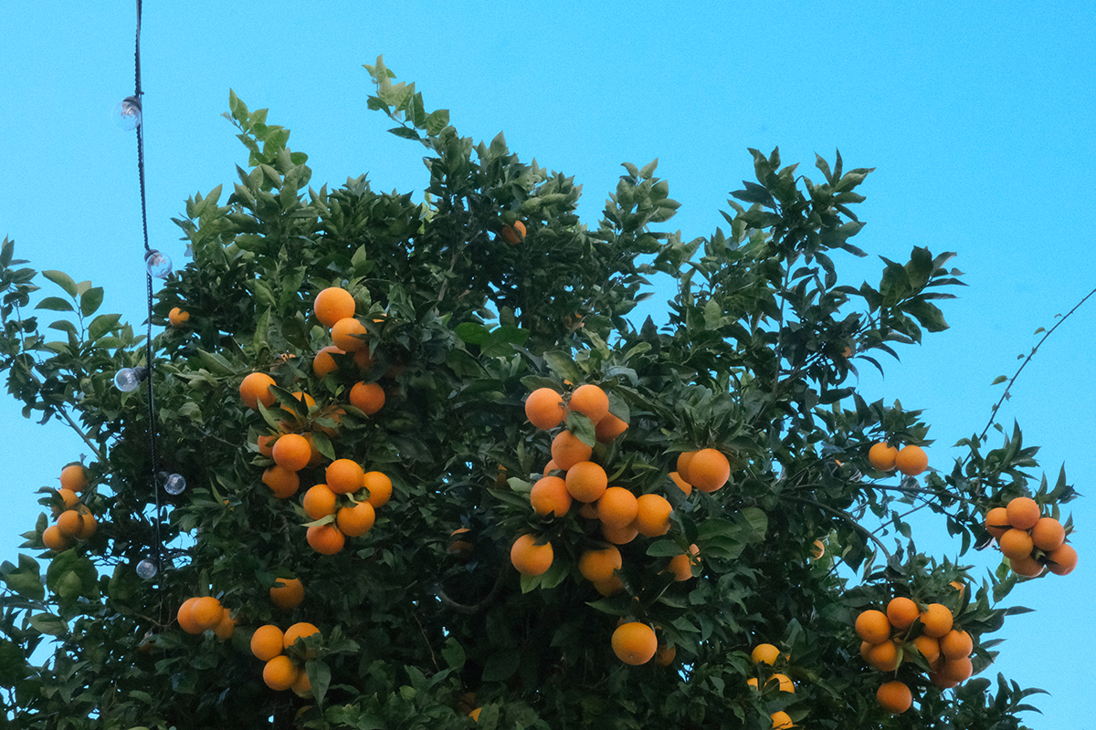 Nápolyból kilépve – Vico Equense, Pompei, Salerno (9.)