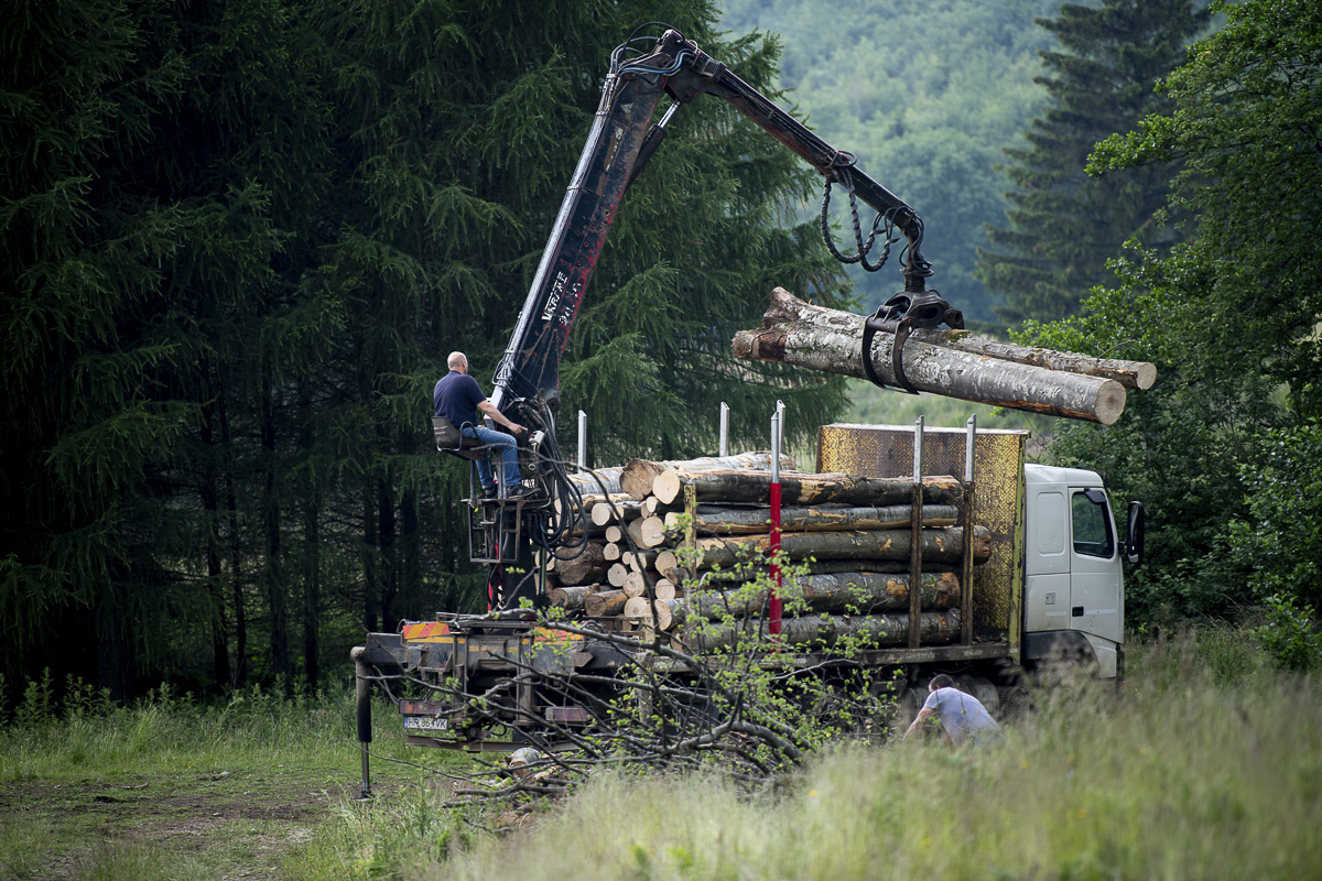 Veszélyzónában lévő közbirtokosságok