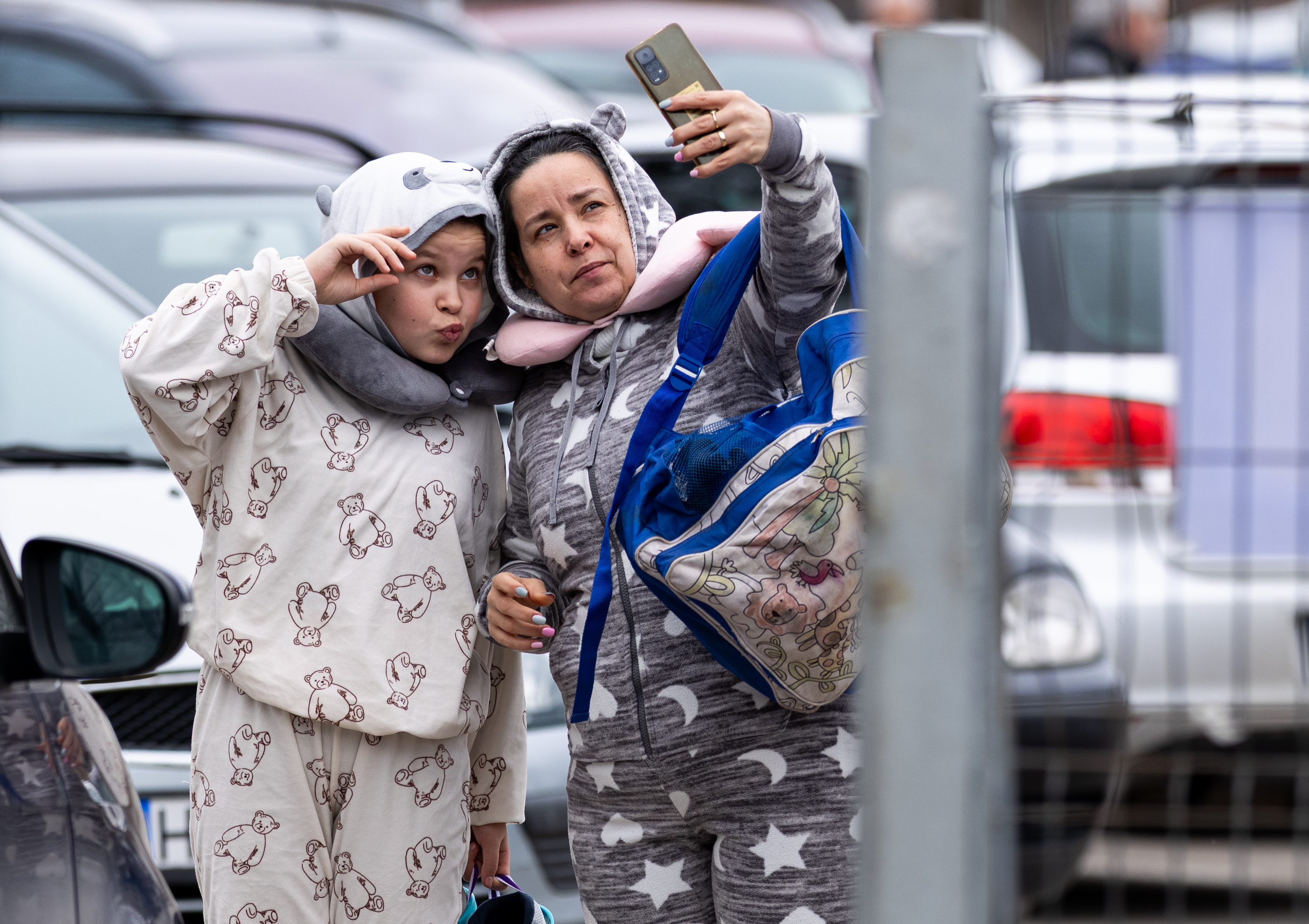 Állati küldetés a jégen Állati küldetés a jégen