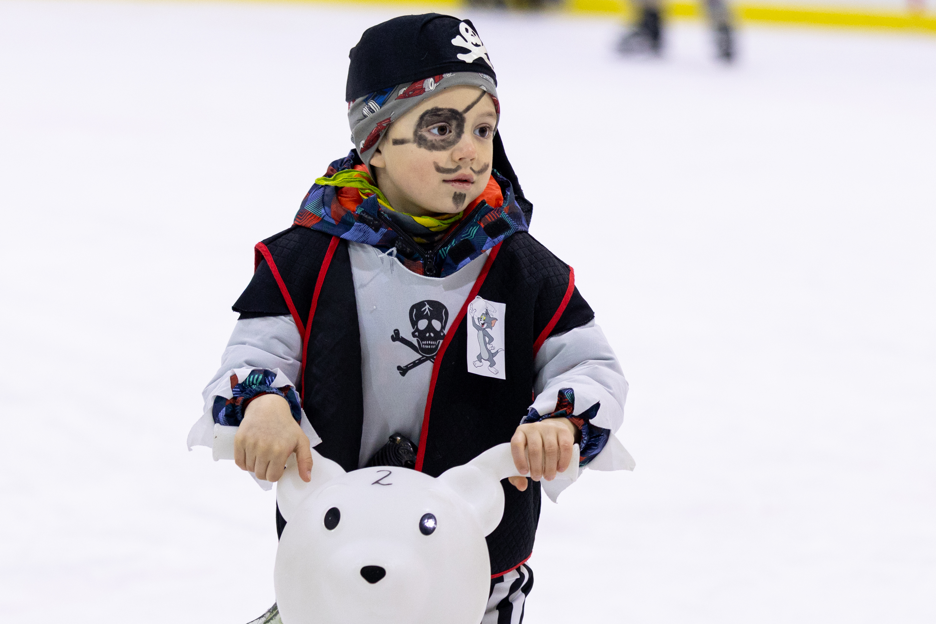 Állati küldetés a jégen Állati küldetés a jégen