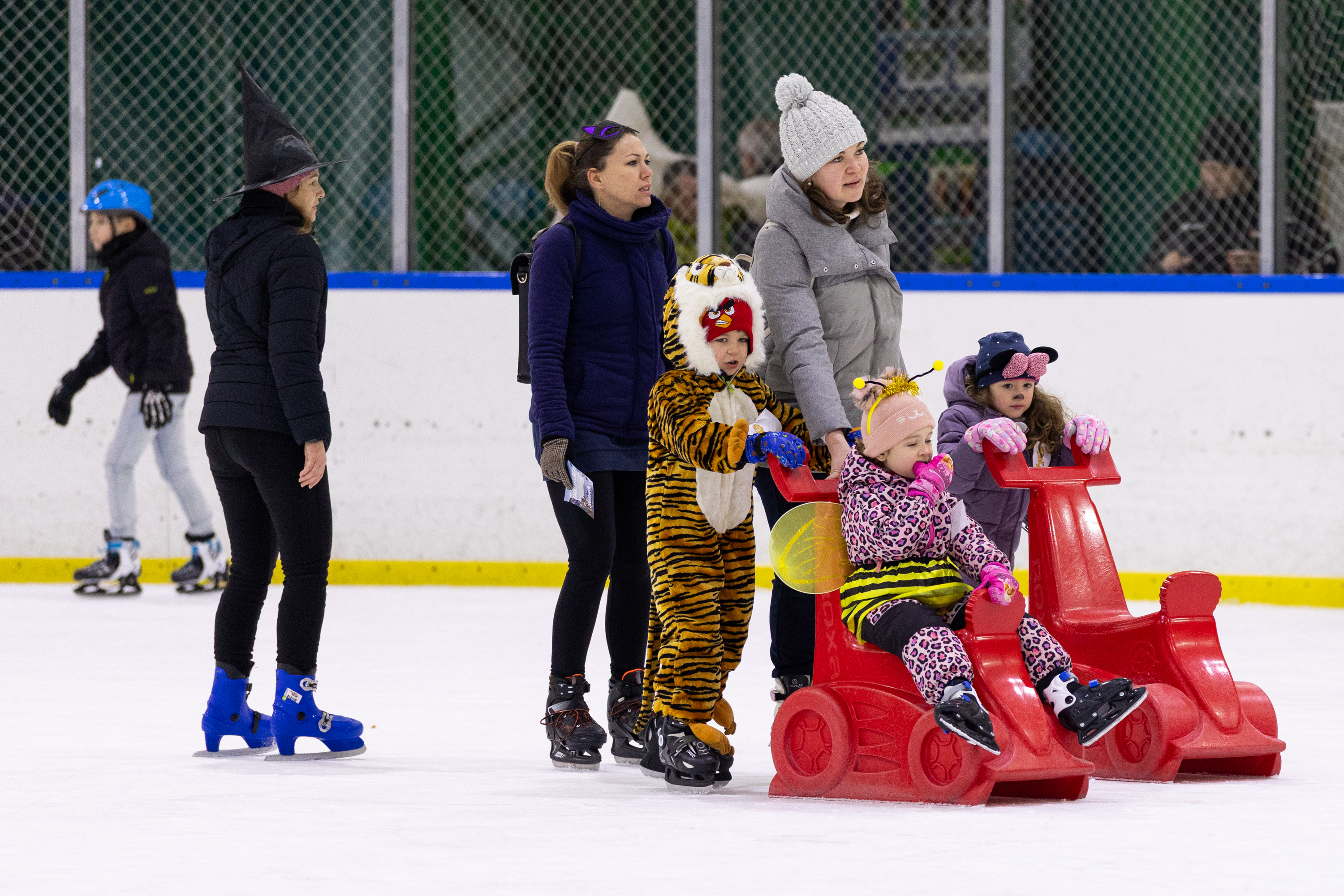 Állati küldetés a jégen Állati küldetés a jégen