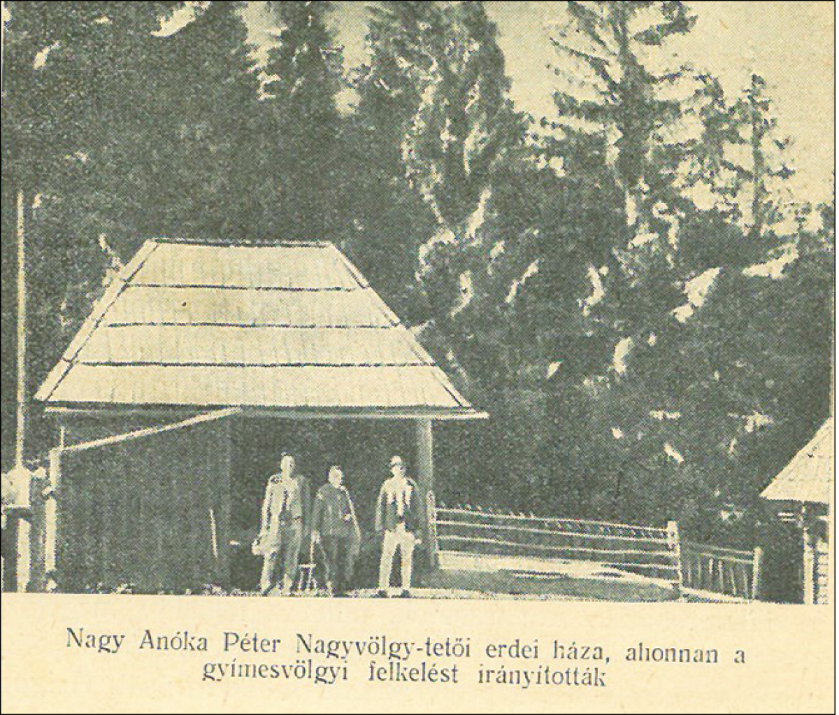 A Könyvkuckó üzenete