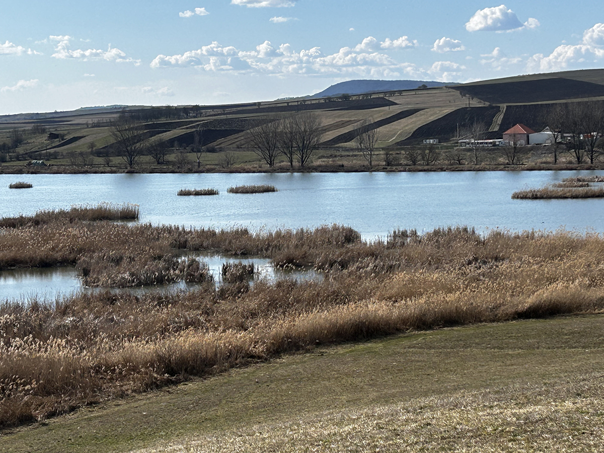 Évszázados madárpihenő, unikum a térségben