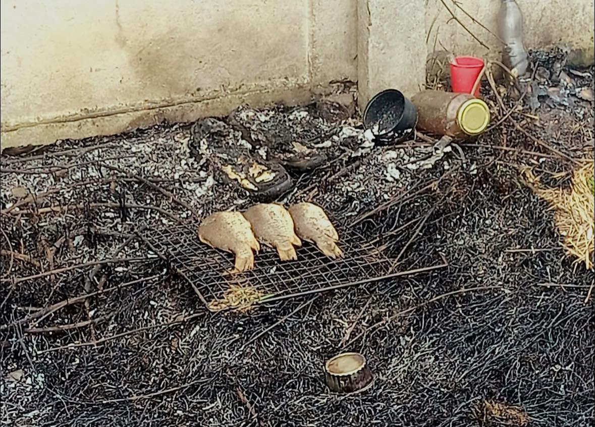 Halat akart sütni, de kigyulladt az aljnövényzet