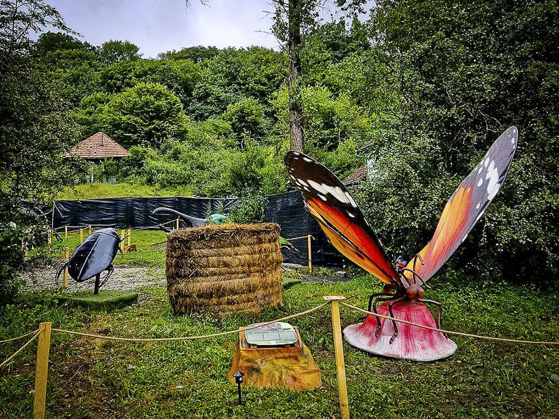 Öt Hargita megyei helyszín az Év úti célja verseny döntőjében