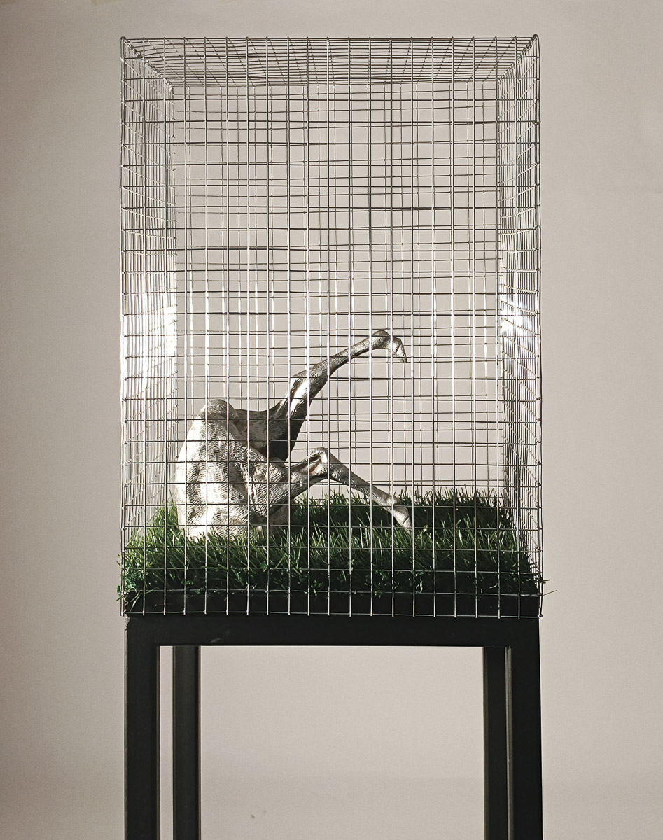 Ferencz S. Apor: a mai művésznek kell legyen társadalmi szerepvállalása is