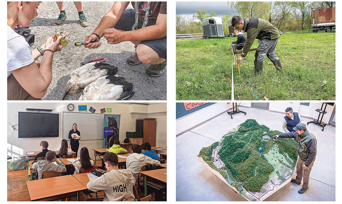 Honismereti kalandok, rovarhotelek és „repülő fészkek”