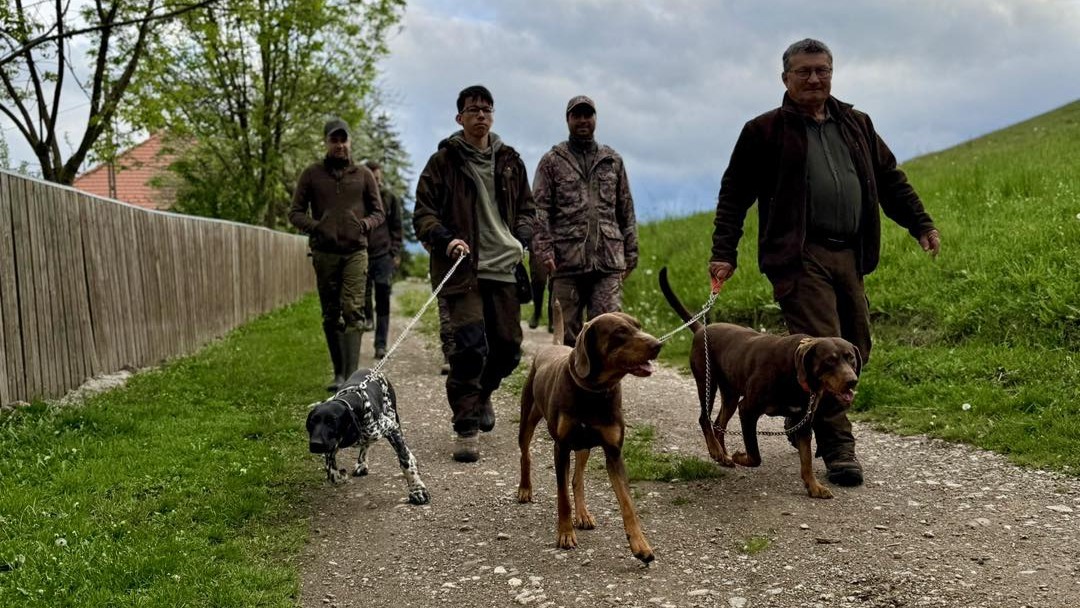 Zarándokok százezrei érkeznek a csíksomlyói búcsúra