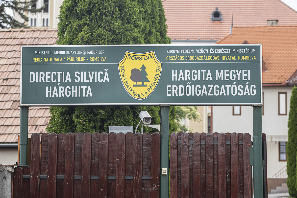 Erdőmérnök: nem hoz valós reformot a Romsilva átszervezése