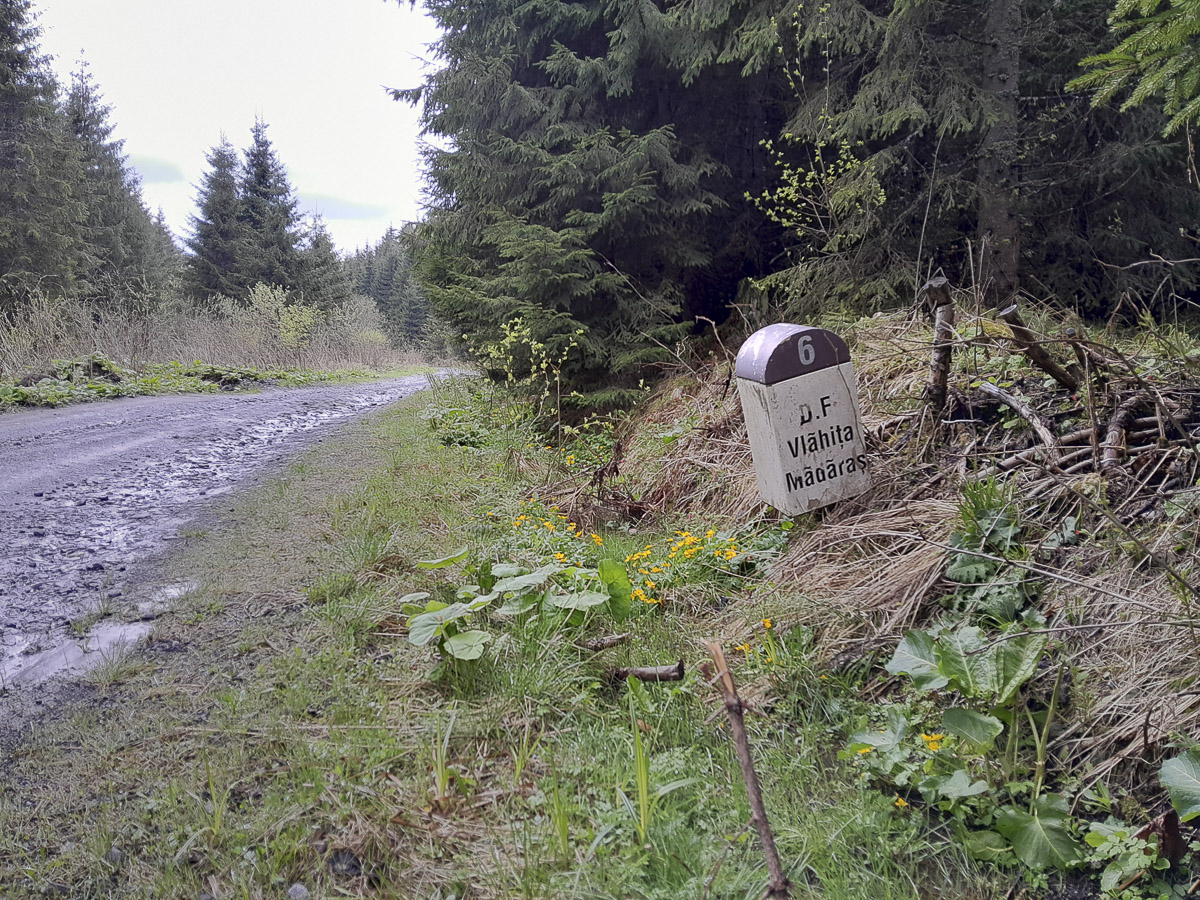 A terv megvan, pénz viszont nincs rá