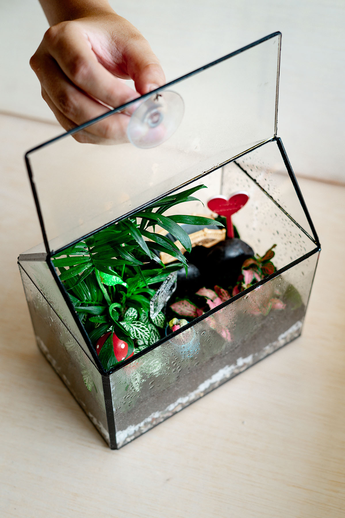 Akvaterrarisztika: ahol a víz partot mos Akvaterrarisztika: ahol a víz partot mos