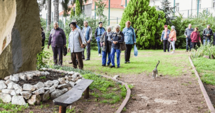 Zöld séta a Providentia Idősek Központjával