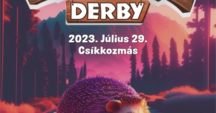 VI. Szappany Derby